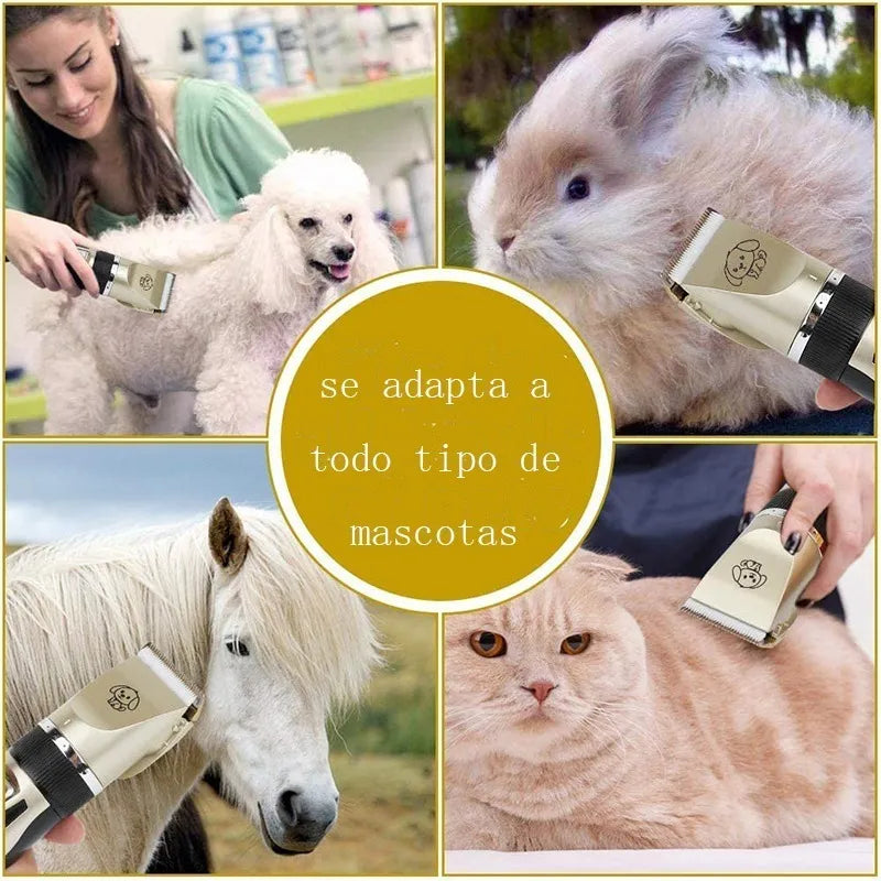 Kit Peluquería Mascotas